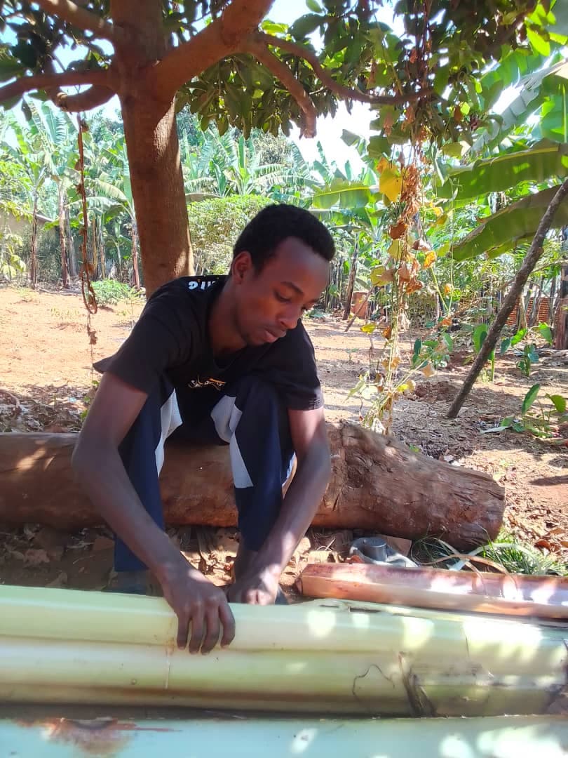 Fibers Extraction
