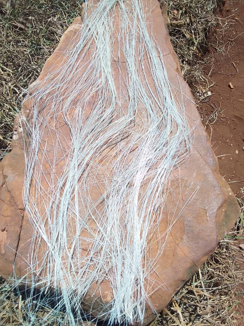 Produced Fibers